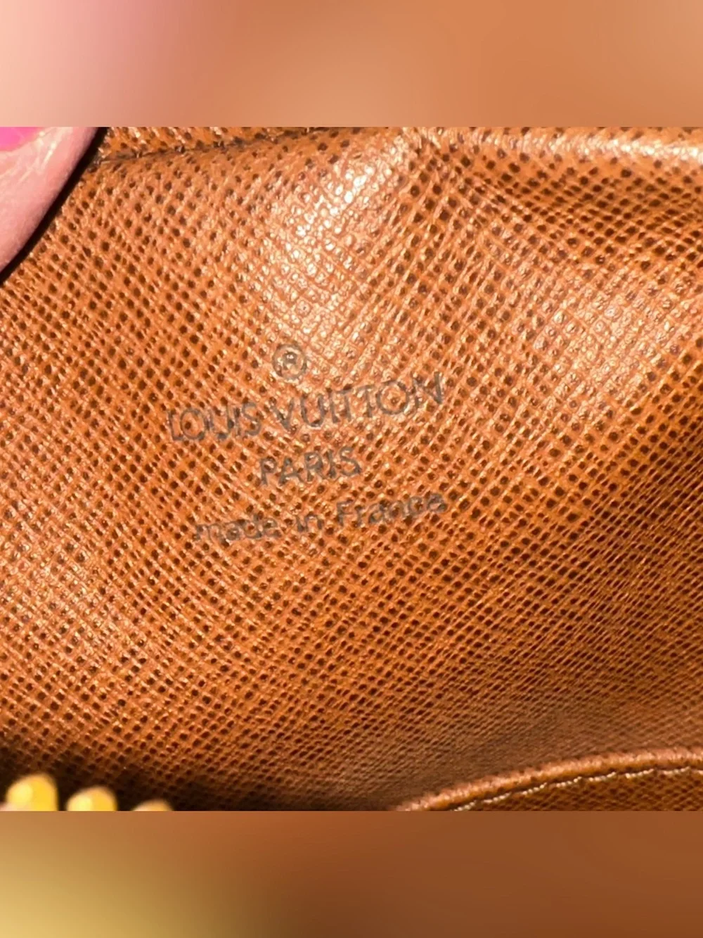 Louis Vuitton Monogram Danube crossbody
